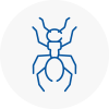Ant Removals In Dorchester