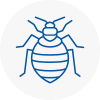 Bed Bug Extermination In Dorchester