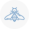 Bee Nest Removal Dorchester