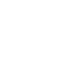 Domestic Ant Control For Dorchester