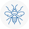 Dorchester Hornet Nest Removals