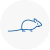 Mice Exterminators In Dorchester